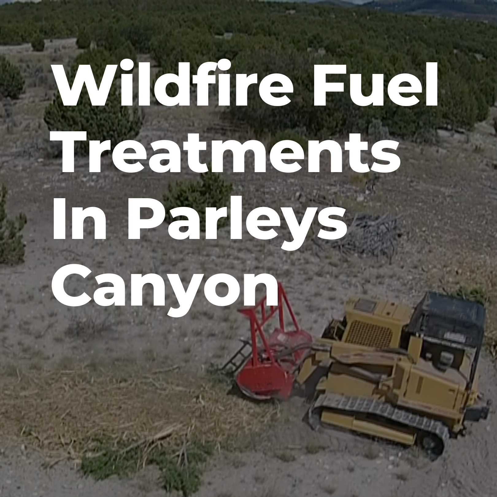 Wildfire Fuel Treatments In Parleys Canyon