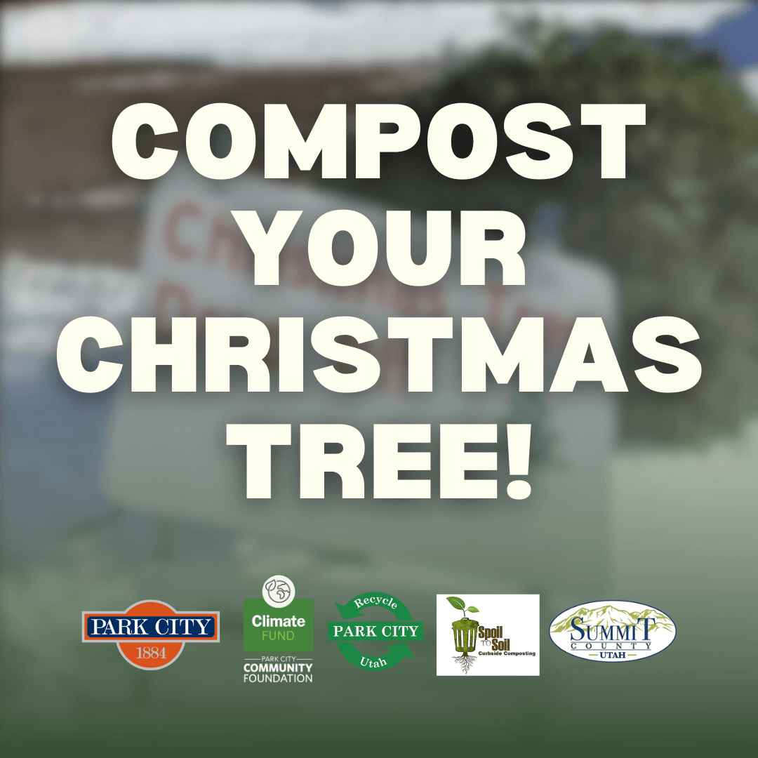 COMPOST CHRISTMAS TREE social post