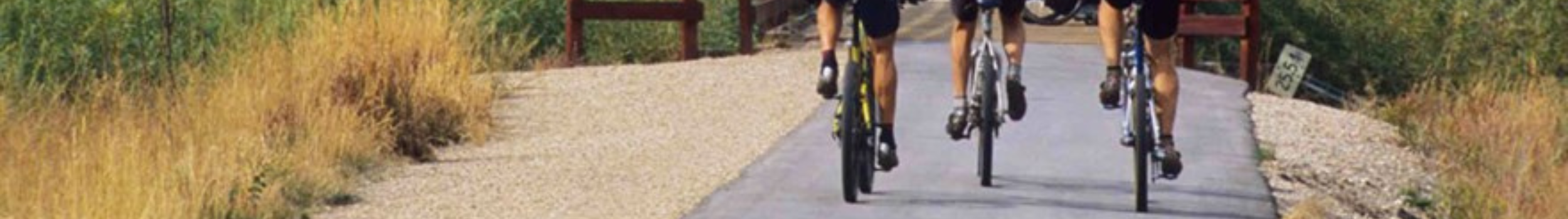 Cycle and Ped HEADER