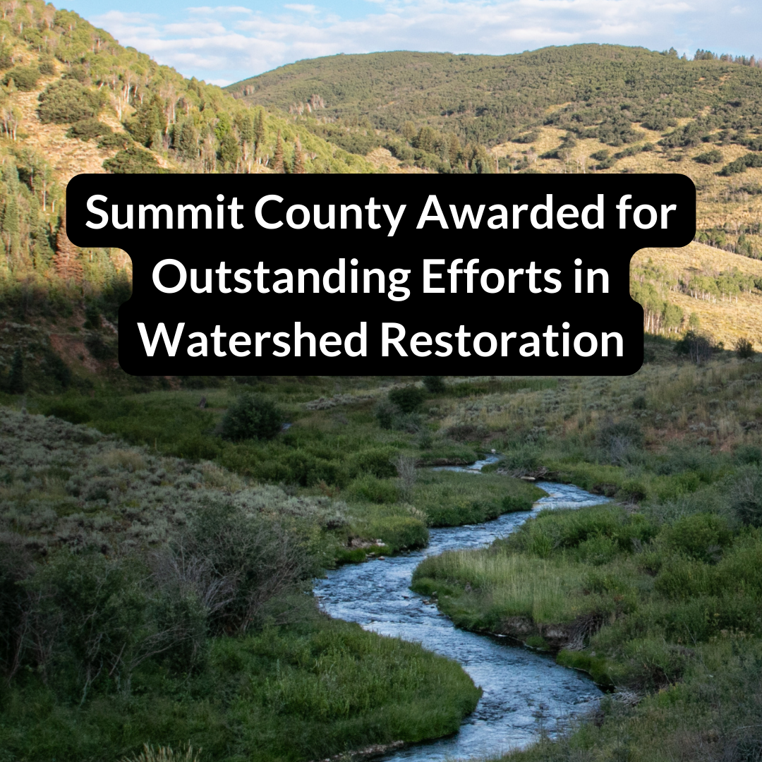 County Lands Trout Unlimited Awards Spotlight