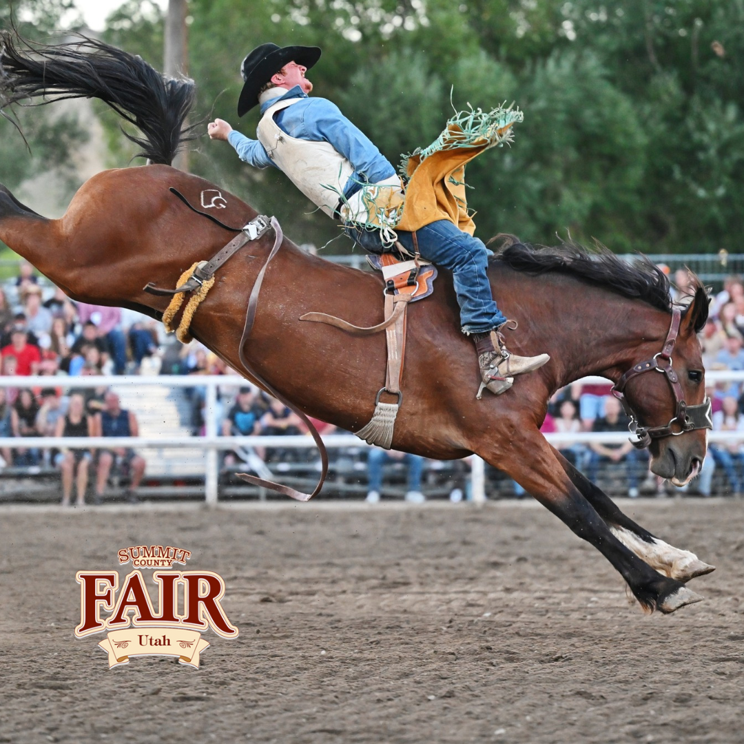 Untitled design (87)