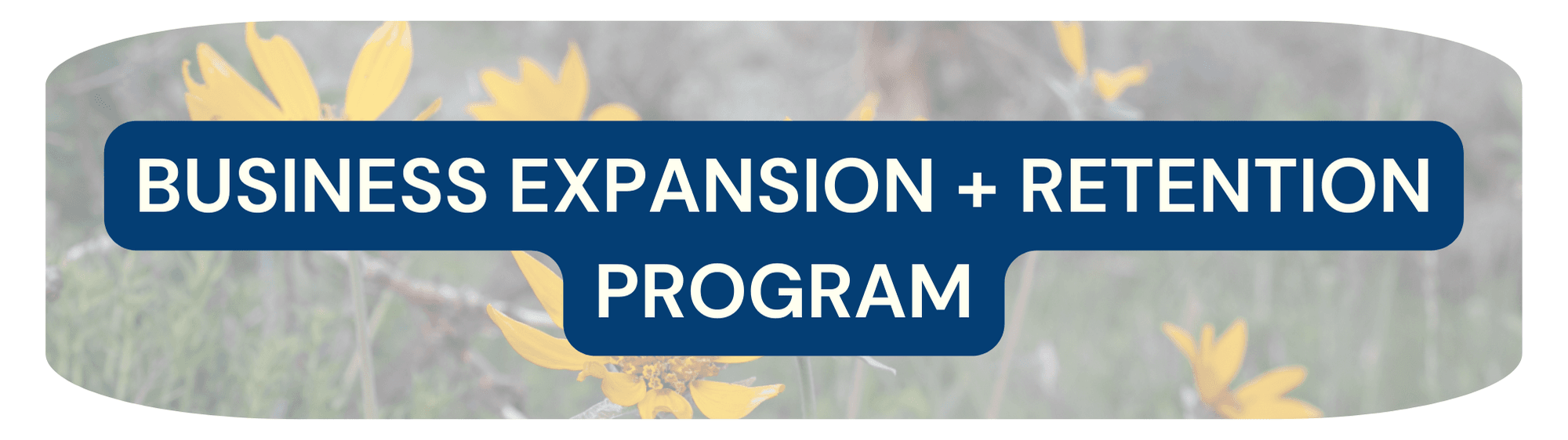 Button that says BEAR Program