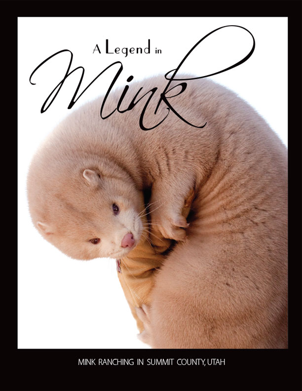 A Legend in Mink Cover